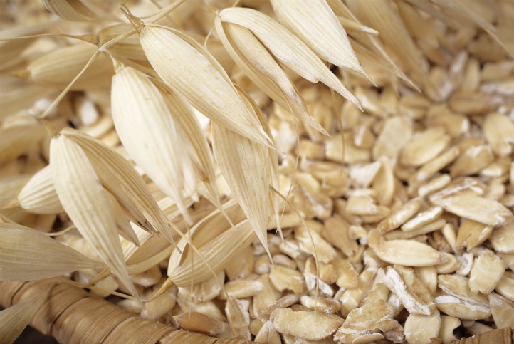 La culture de blé dur