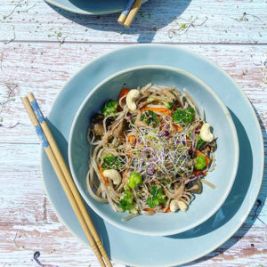 Nouilles Udon Vegan